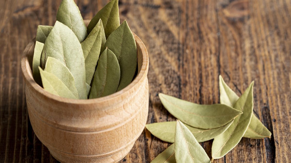Cómo cultivar laurel en casa y cosechar fácilmente sus hojas aromáticas para cocinar