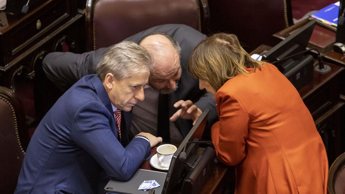 Suma fuerza la "rebelión" de Bullrich contra Milei: la UCR también votará a favor de la jueza que rechaza el Gobierno