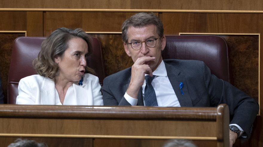 La secretaria general y portavoz del Partido Popular (PP), Cuca Gamarra, y el presidente del PP, Alberto Núñez Feijóo, durante la primera jornada de la 26 edición del Debate sobre el Estado de la Nación, en el Congreso de los Diputados, a 12 de julio de 2