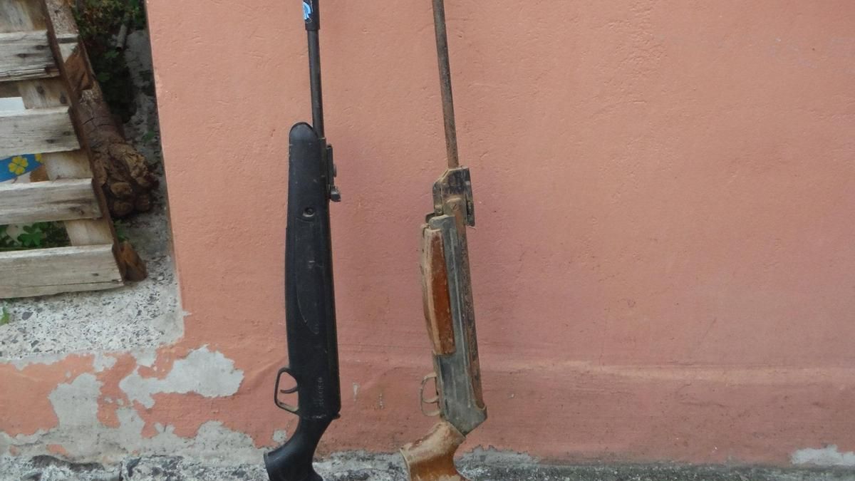 Detenido en Valsequillo por matar a tiros a dos perros tras una riña familiar
