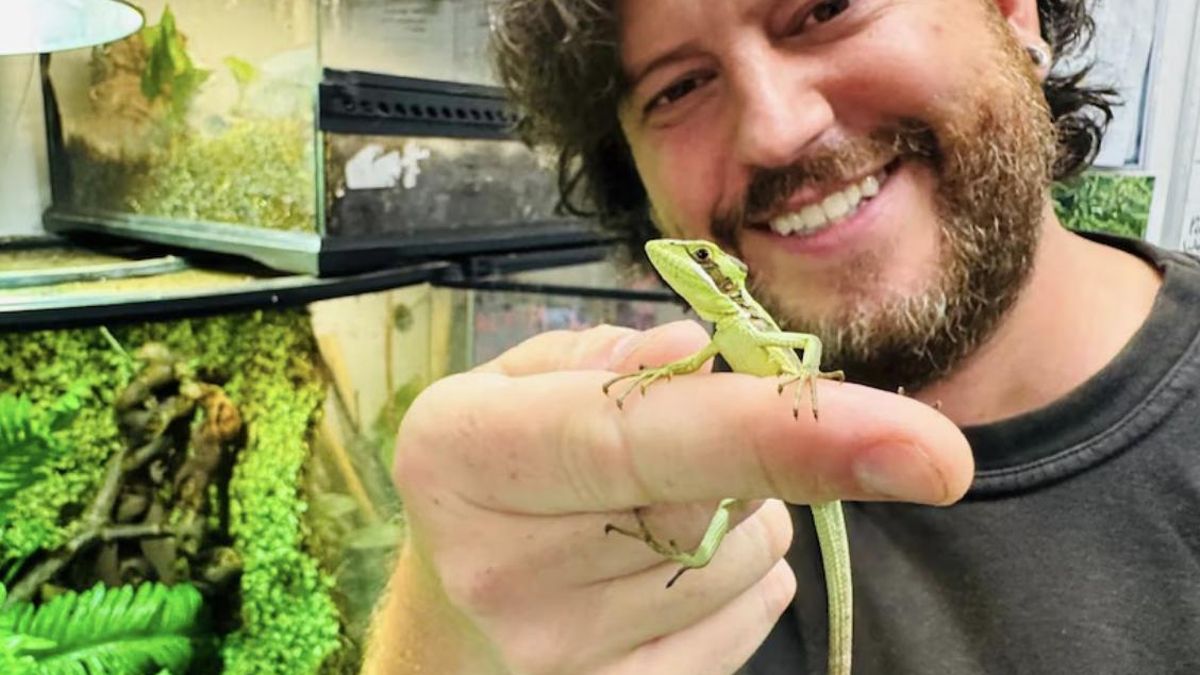 La partenogénesis permite que ciertas especies saquen adelante nuevas generaciones sin la intervención de un macho, un mecanismo biológico poco frecuente que desafía la norma reproductiva