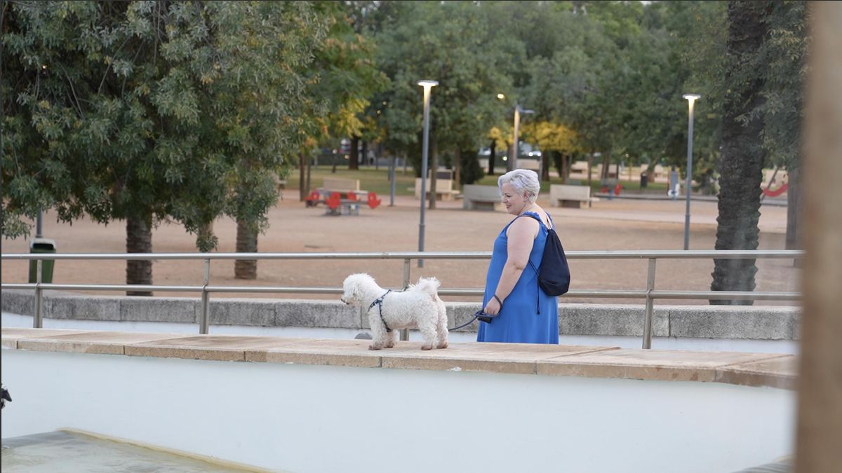 Paseando a las mascotas