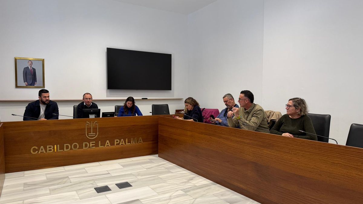 El Cabildo de La Palma “avanza” en un nuevo modelo de gestión de emergencias “más preciso y sectorizado por zonas”