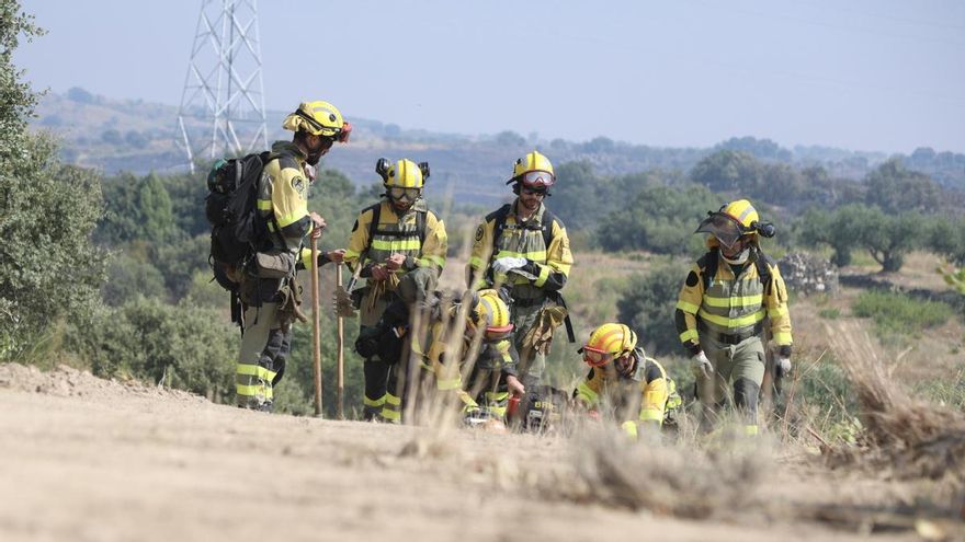 Más de la mitad de los incendios de estas semanas de Castilla y León han sido causados por acción humana