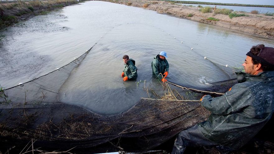 FOTOGALERÍA | La despensa de Doñana
