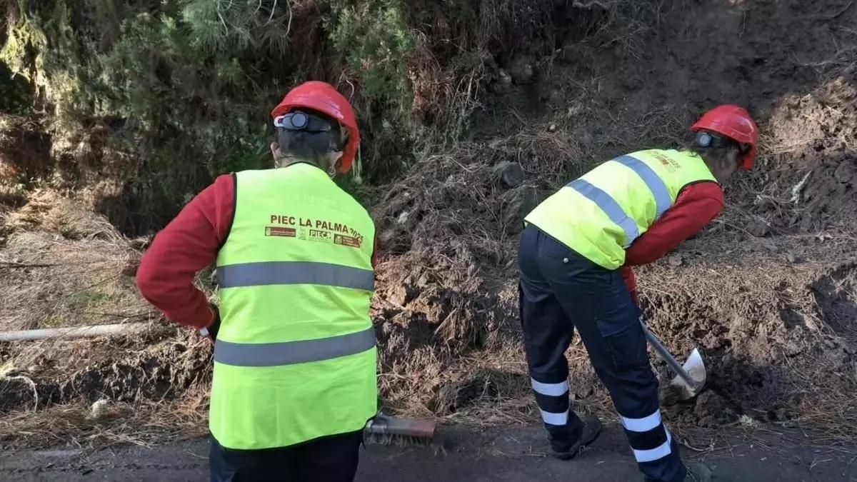El paro en La Palma en mayo se mantiene en 5.950 personas desempleadas