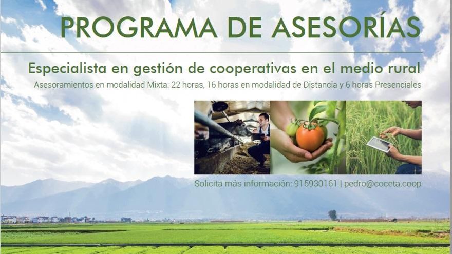 Programa de Asesorías