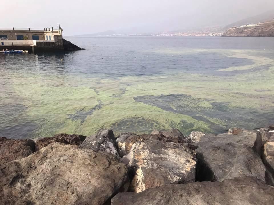 Más microalgas en la bocana del muelle deportivo de Radazul