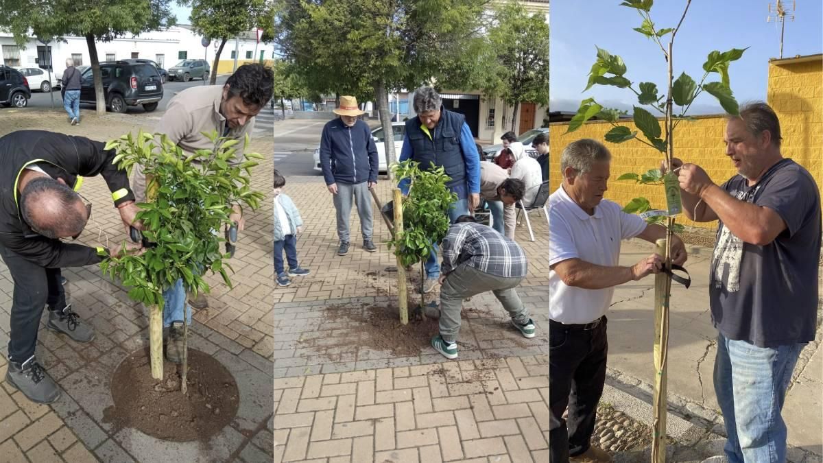 Vecinos de Villarrubia plantan árboles en el barrio ante el "abandono y la dejadez" del Ayuntamiento de Córdoba