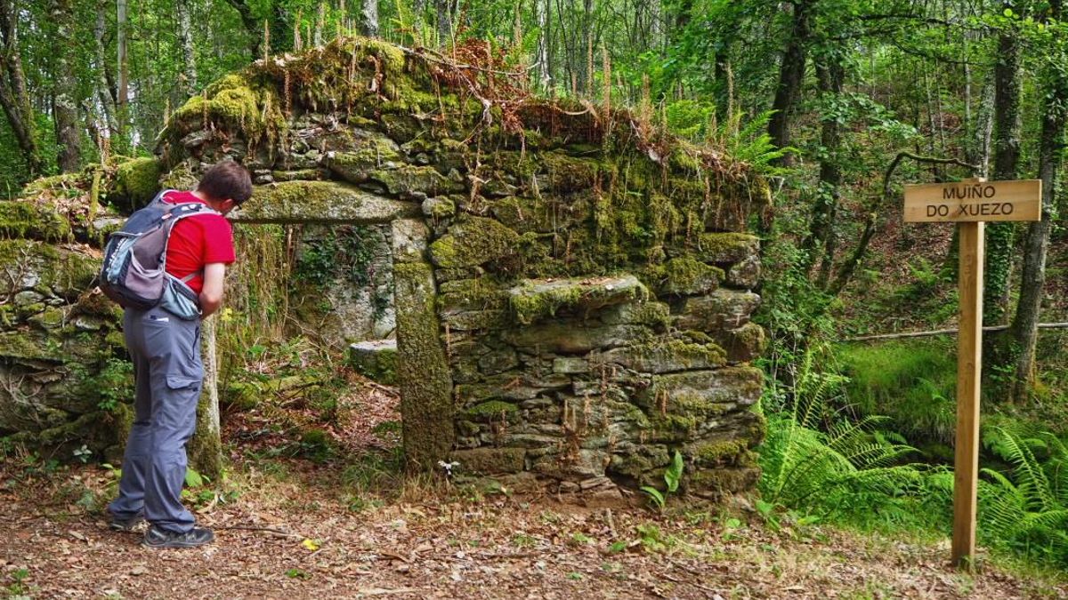 A una hora de Santiago y A Coruña: el sendero entre robles y eucaliptos para descubrir hasta 22 molinos de agua