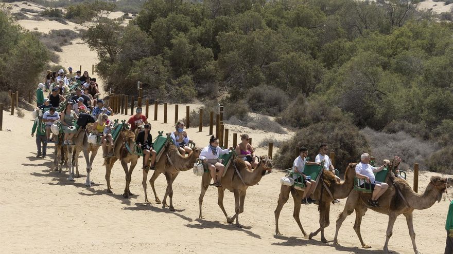 El turismo es inmune a la inflación: alta demanda, precios de 2019 y tirón en los viajeros con alto poder adquisitivo