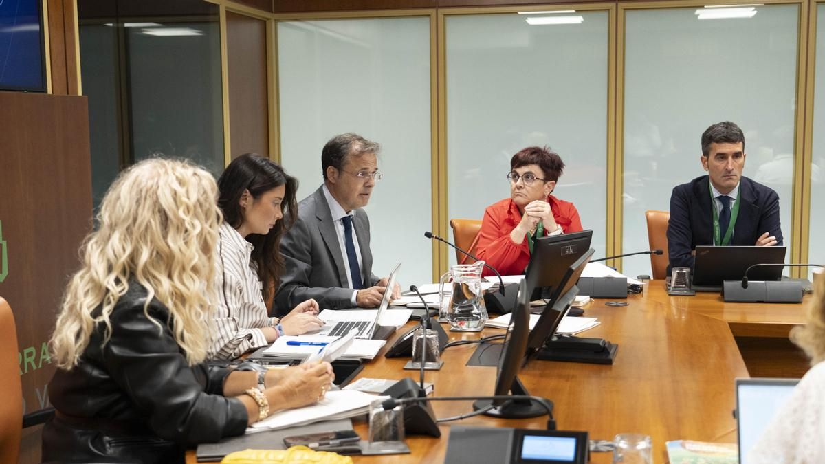 Osakidetza plantea sumar 36 nuevos quirófanos a su red de 170 para reducir las derivaciones a la privada