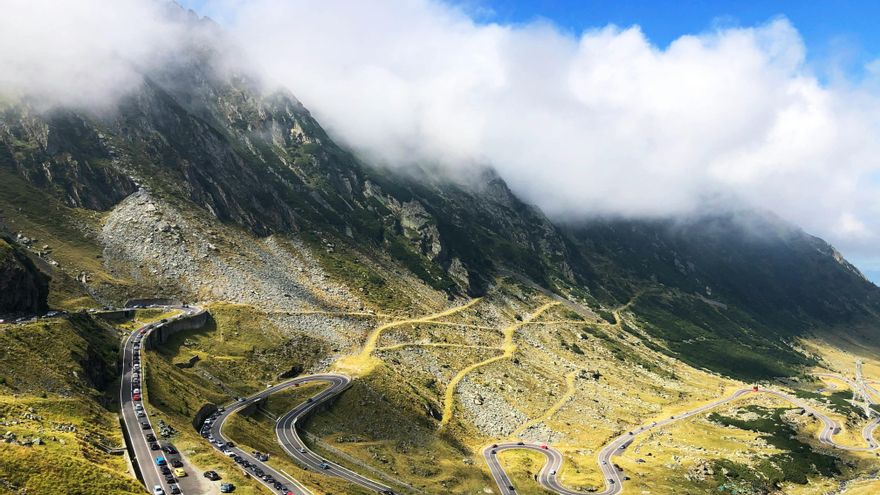 Esta es la ruta europea a tres horas de España en la que se pueden ver osos salvajes hasta sin querer