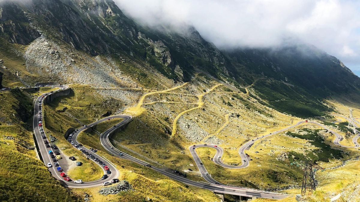 Esta es la ruta europea a tres horas de España en la que se pueden ver osos salvajes hasta sin querer