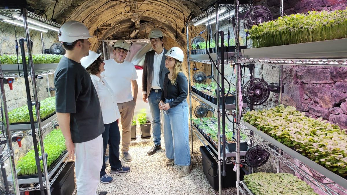 Visita del Gobierno de Asturias a la mina-invernadero en la galería La Raya del pozo Carrio