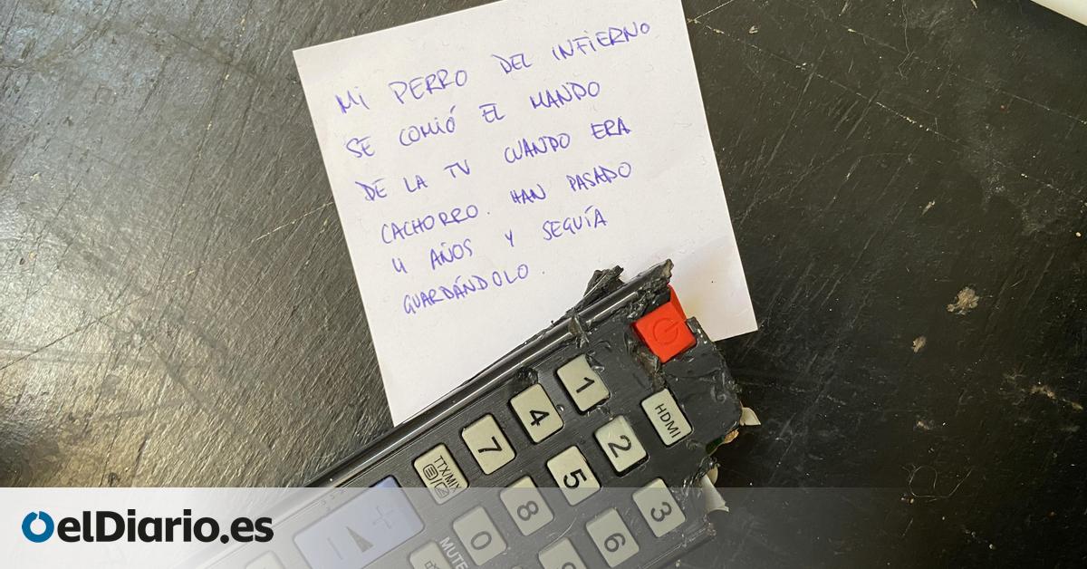 Rastreadores de basura en Lavapiés: la muestra donde dejar ir objetos queridos para pujar por ellos con argumentos