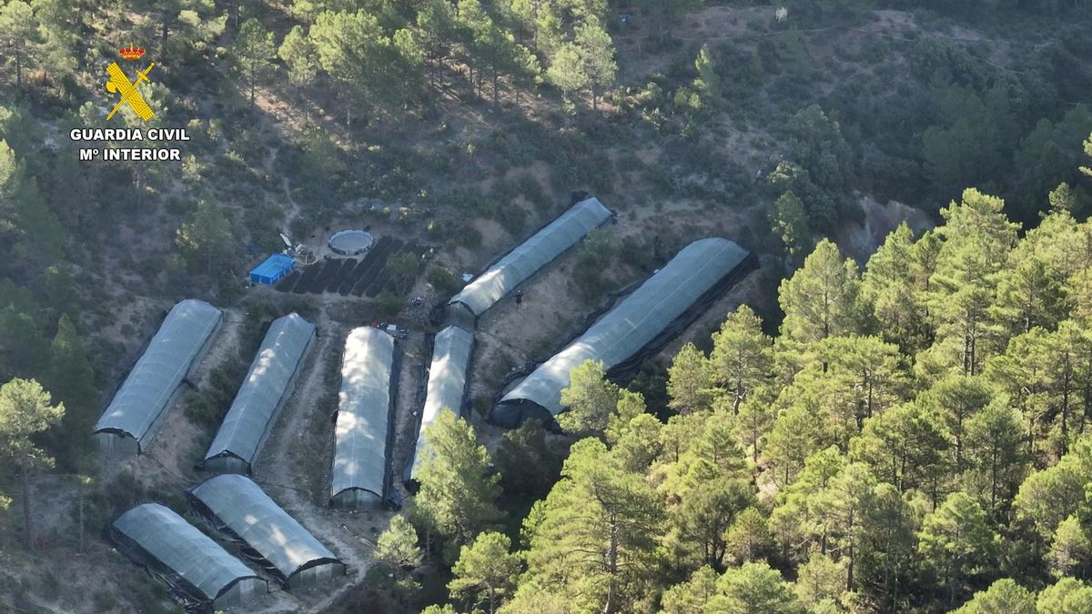 Imagen aérea de los invernaderos intervenidos en Arcos de las Salinas.