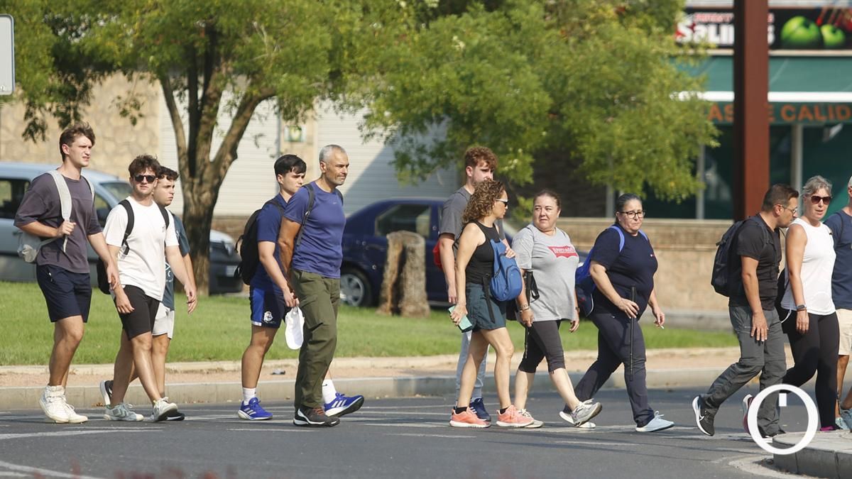 Batida de búsqueda de Enrique Barona