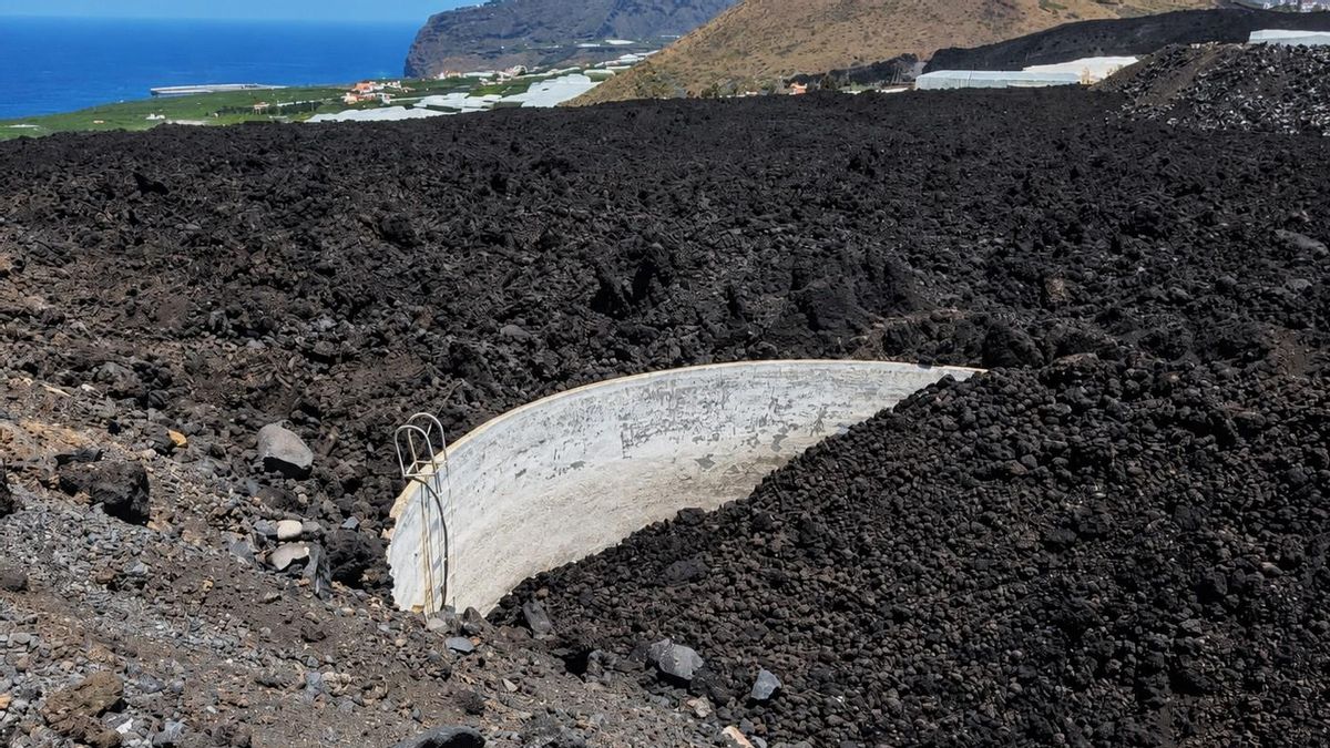 Asepalma valora el desbloqueo de los 100 millones para la reconstrucción agraria de La Palma