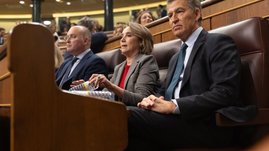 Todo lo que dijo el PP sobre el palacete del PNV en París para justificar su voto en contra del decreto que ahora apoyará