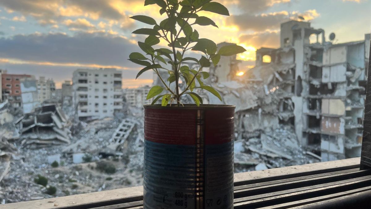 Vistas de la ventana de la casa de Maha Hussaini