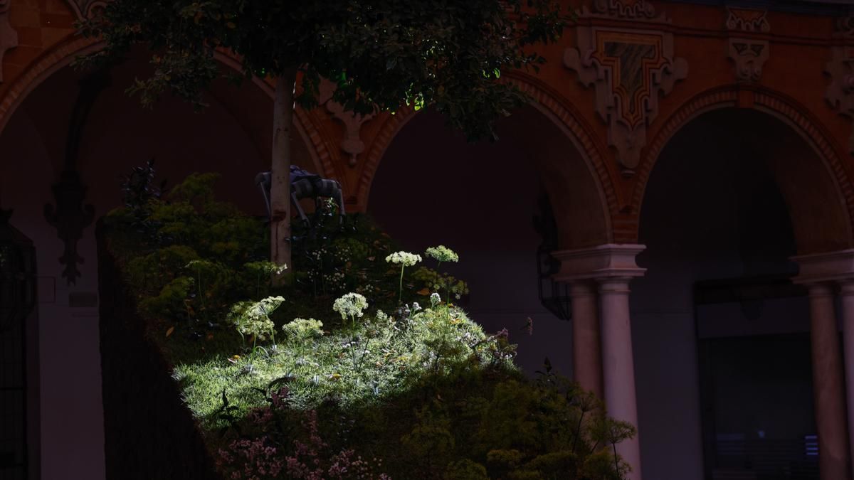 FLORA 2026 - FLOVER NYC (Diputación de Córdoba)