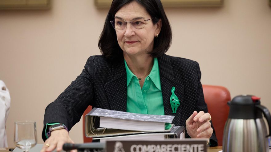La presidenta de la CNMC arremete contra el "exceso brutal de burocracia" que sufren las pymes