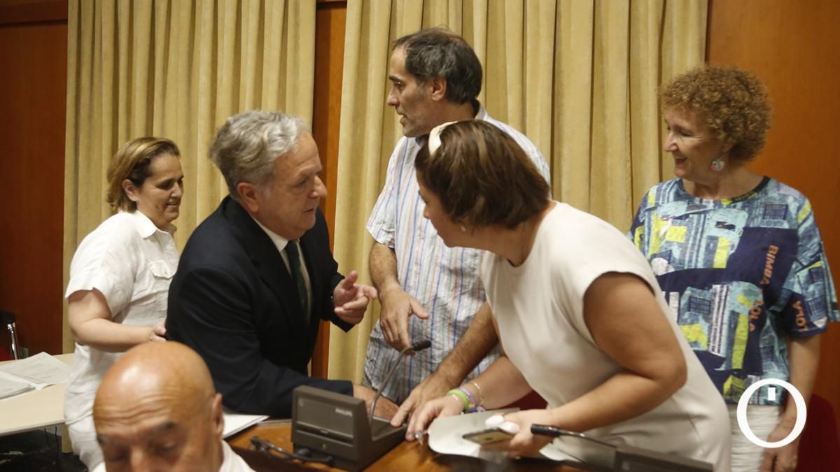 Pleno Extraordinario organizativo