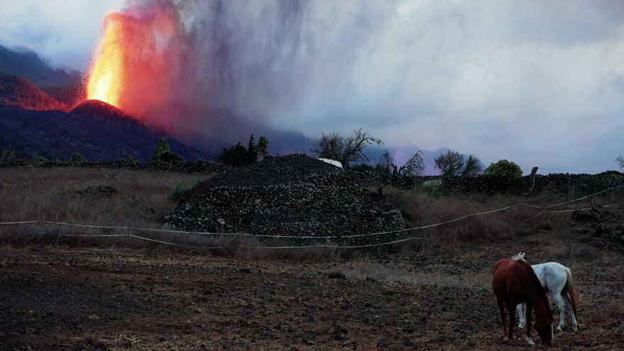 El volcán de La Palma, en una de las imágenes del programa 'Informe Trópico'