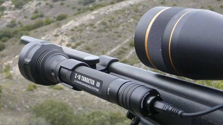 El Gobierno vasco quiere "favorecer" un "acercamiento" de los menores a la caza y apoya que vayan sin armas a las monterías