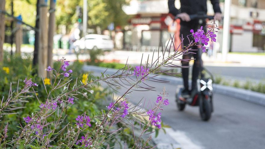 Fallece una menor en un accidente con un patinete en Málaga capital