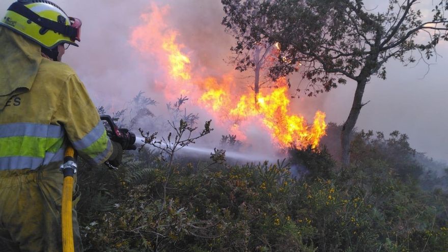 Cantabria prohíbe y suspende actividades en el monte cuando haya riesgo de incendios forestales