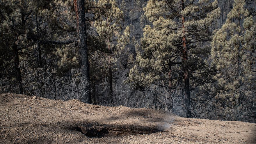 Restos de humo que salen de la tierra en una de las zonas del incendio de Tenerife