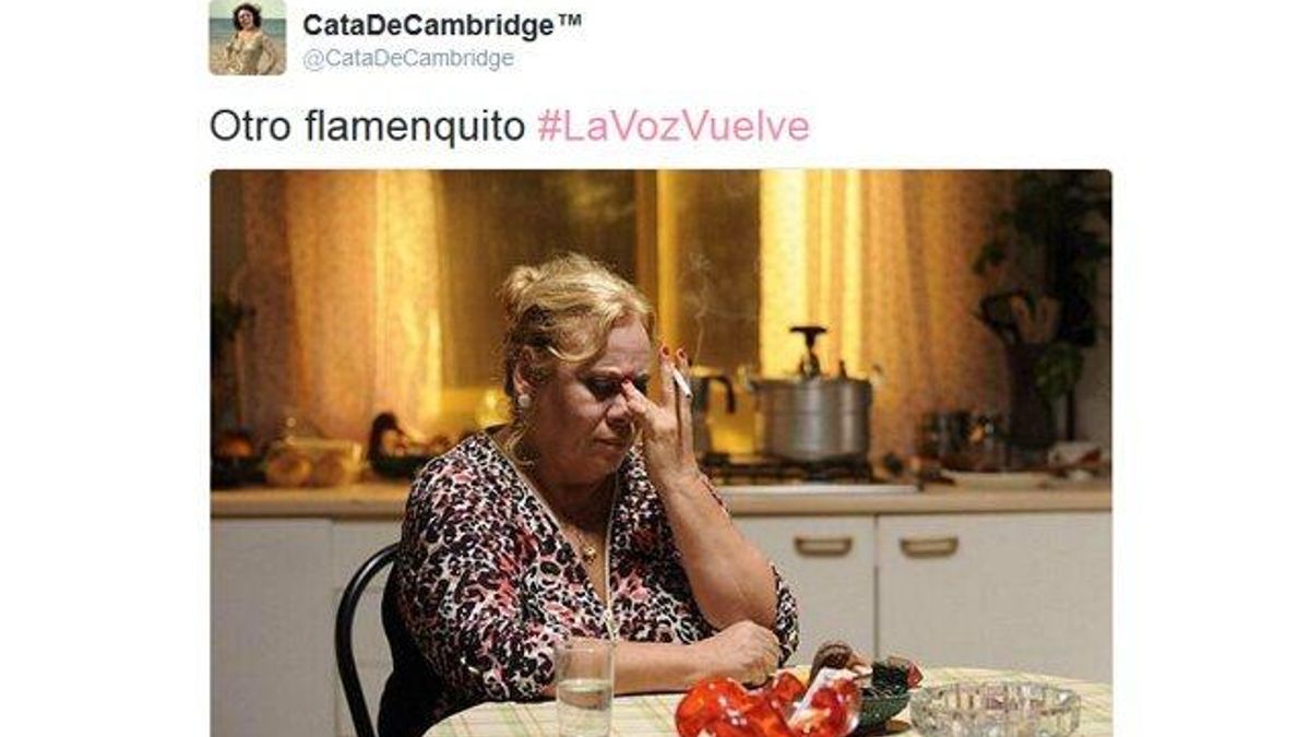 Lluvia de memes con 'La Voz 4' y rebelión por el 'exceso de flamenquitos'