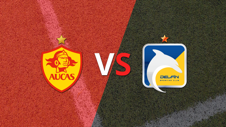 EN VIVO: