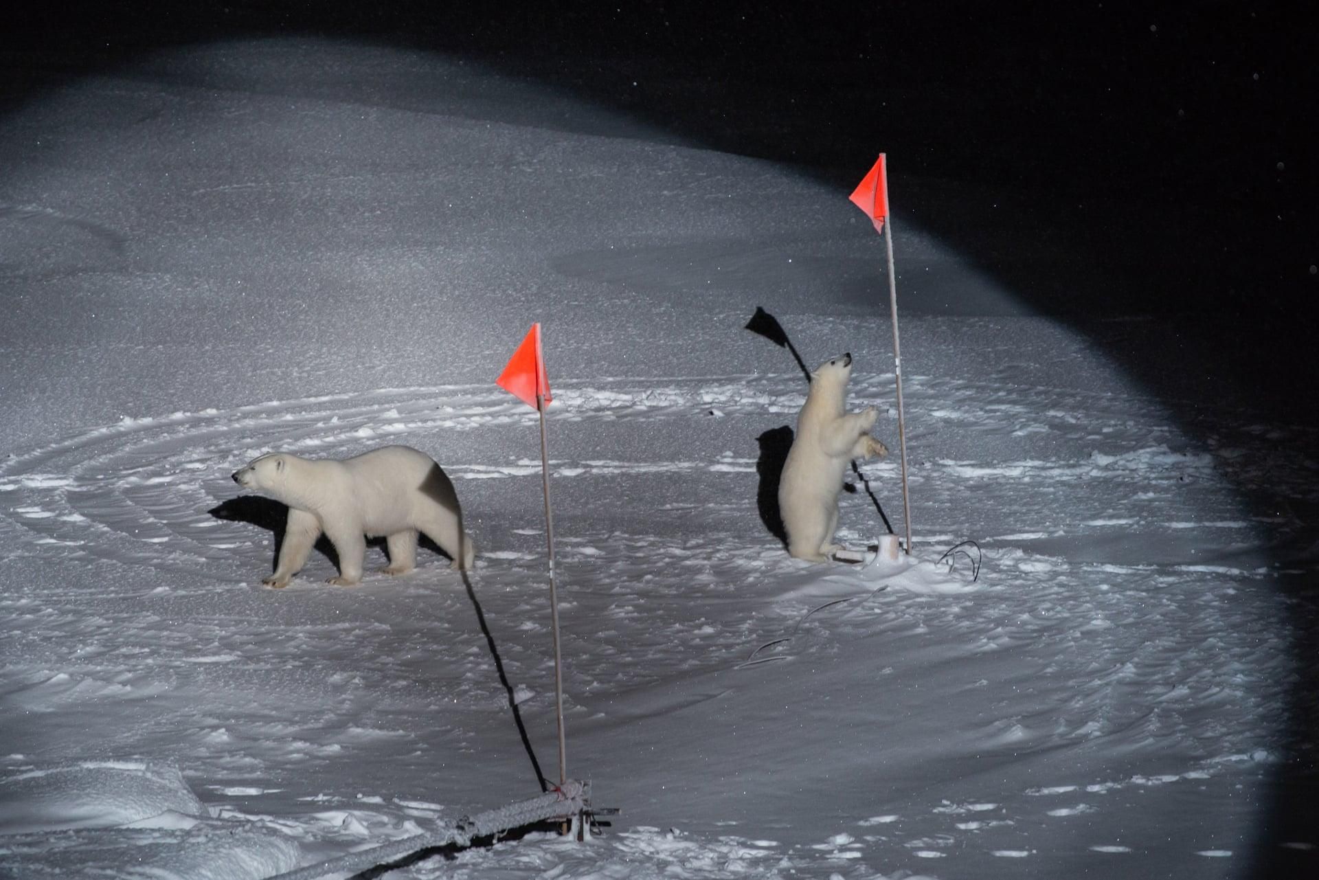 Primer premio individual de la categoría 'Medio ambiente'