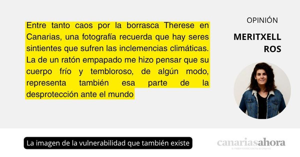 La imagen de la vulnerabilidad que también existe