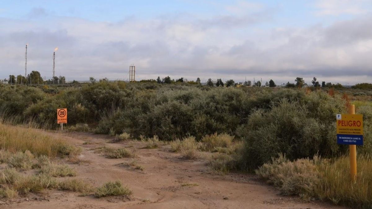 En Bahía Blanca, las organizaciones recorrieron el polo petroquímico que abarca las localidades de Ingeniero White, Cerri y Puerto Rosales, donde se reciben, procesan y exportan el petróleo y el gas de la provincia de Neuquén. 
