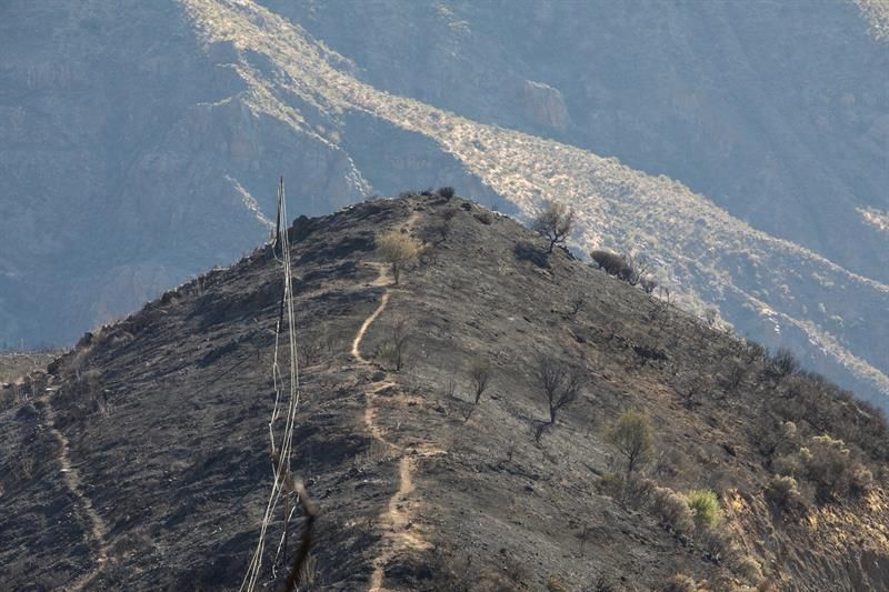 Zonas afectadas por el fuego del incendio forestal, vistas desde la cruz de Tejeda.