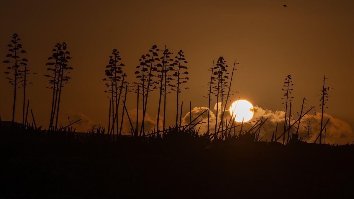 Temperaturas en descenso aunque llegando a 30 grados localmente este martes en Canarias