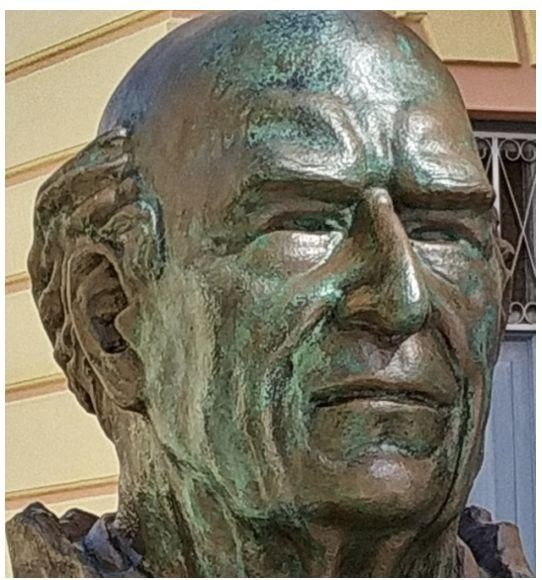 Busto de Manuel Morales Pérez.