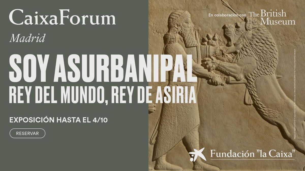 Recorre gratis la exposición 'Soy Asurbanipal, rey del mundo, rey de Asiria'