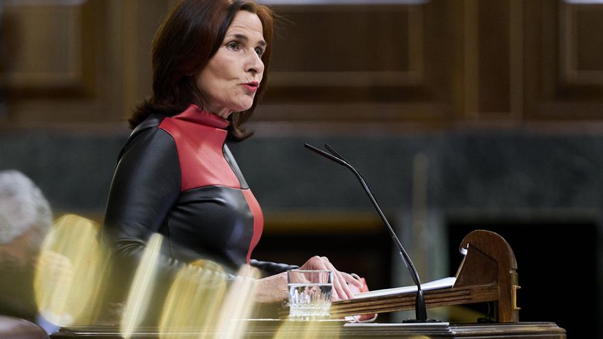Archivo - La diputada del PSOE, María Luz Martínez Seijo, interviene en una sesión plenaria en el Congreso de los Diputados.