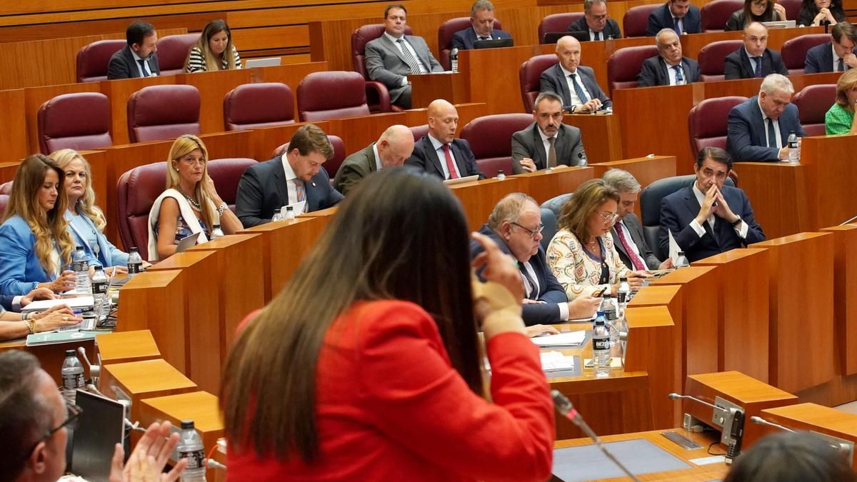La socialista Nuria Rubio interepela al consejero de Medio Ambiente, Suárez-Quiñones, en una imagen de archivo.