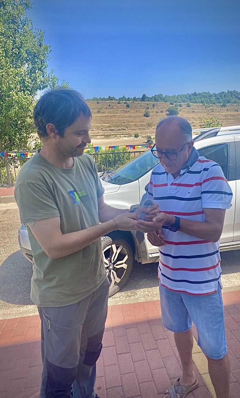 Cría de autillo europeo rescatado en Armallones (Guadalajara)