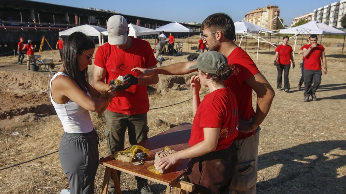 Trabajos en el yacimiento de Cercadillas