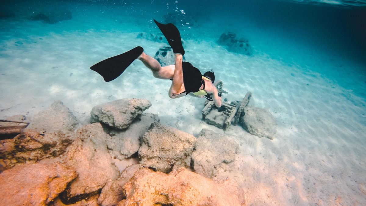 El naufragio del Antilla: la historia de cuando la Segunda Guerra Mundial llegó al Caribe que hoy se puede ver buceando