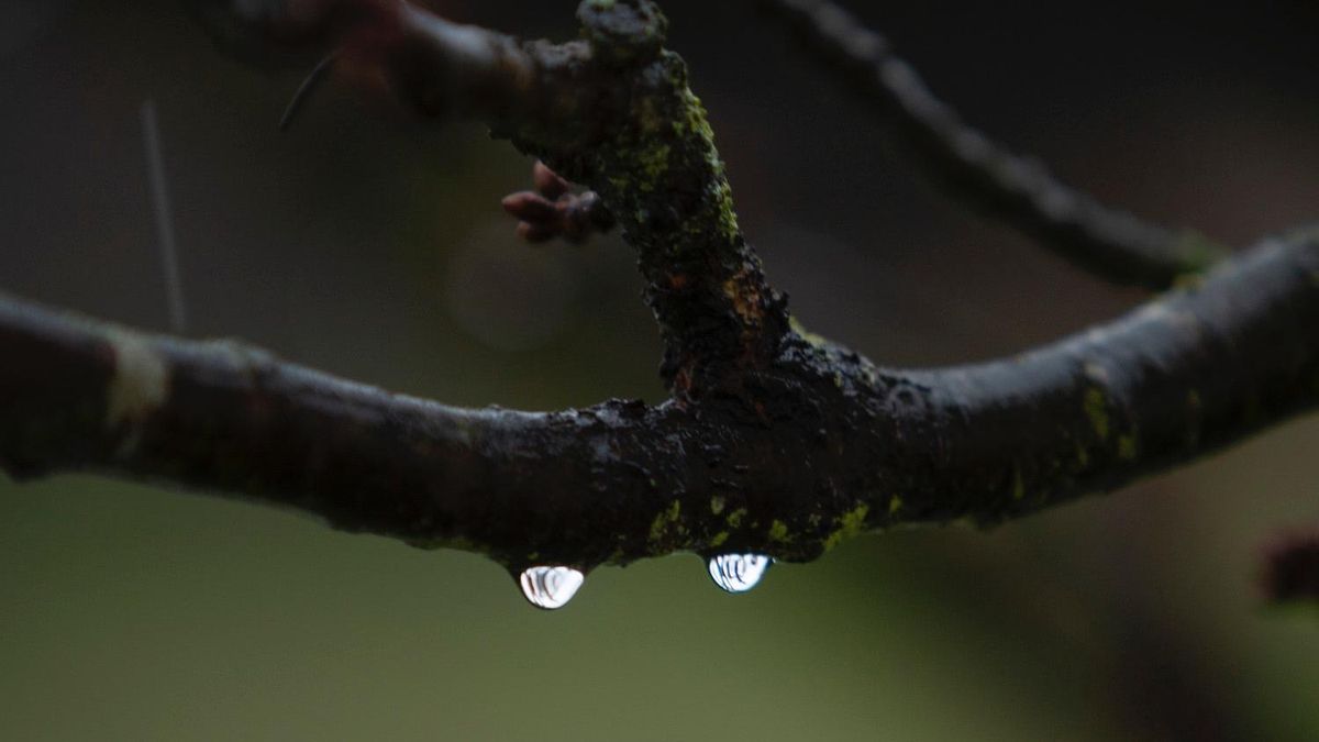 El tiempo en León hoy, 21 de enero: la Aemet pronostica precipitaciones y ascenso de temperaturas