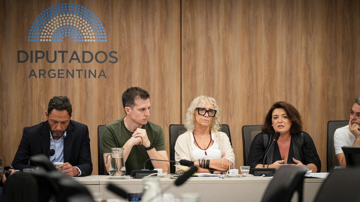 La diputa Sabrina Selva junto a Mónica Frade, Esteban Paulín, Ferraro y Marino en la conferencia de prensa