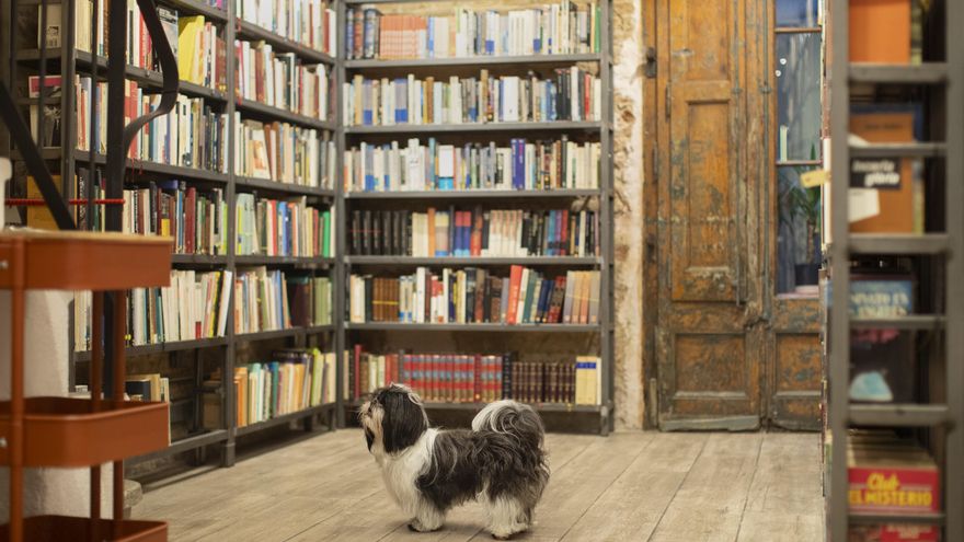 Los libros de noviembre: del Premio Planeta a Margaret Atwood, Patti Smith o Saunders